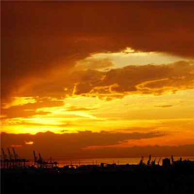 海星体育app下载ios截图