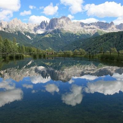 海星体育app下载ios截图